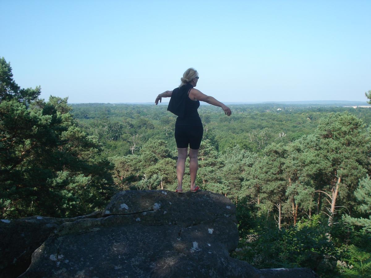 Les Premices De La Foret *