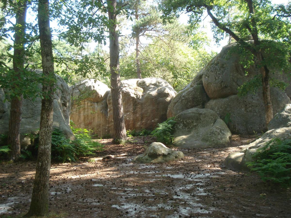 Les Premices De La Foret Bed & Breakfast