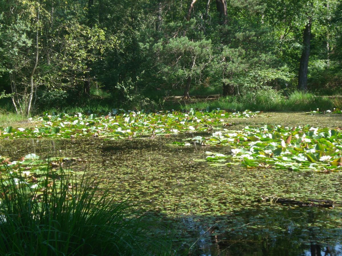 Bed & Breakfast Les Premices De La Foret