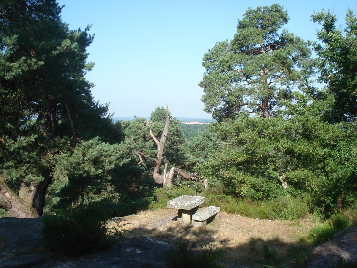 Les Premices De La Foret Bed & Breakfast Chailly-en-Biere
